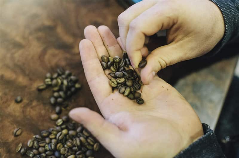 Les arômes du café